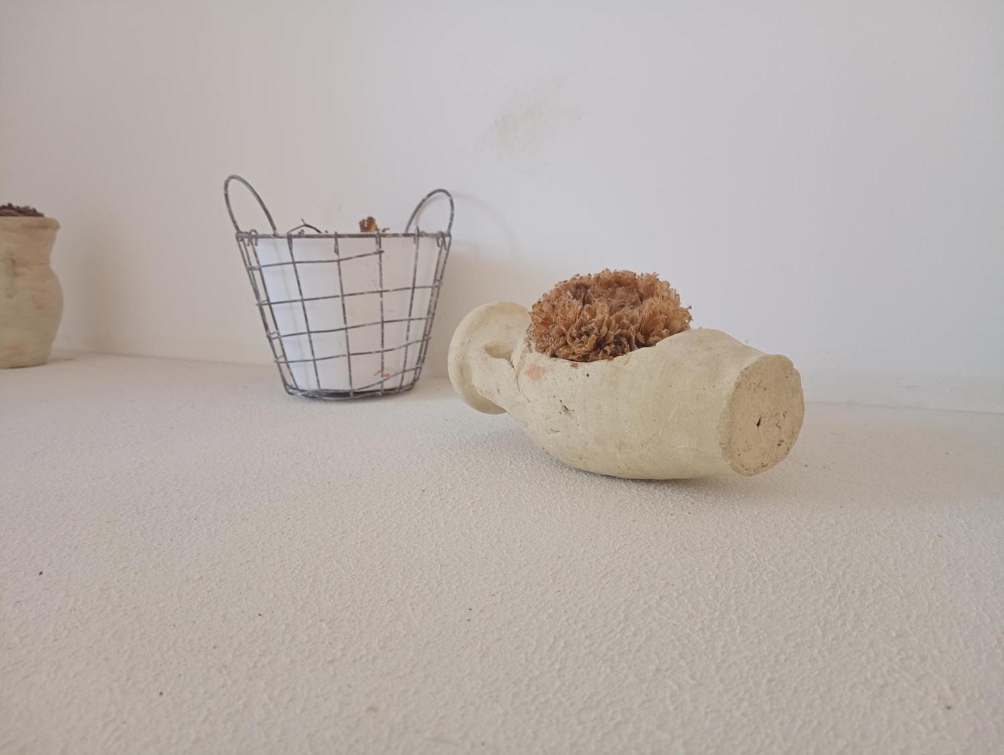 White Shell Rooms 알게로 외부 사진